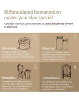 KOMBUCHA GYEOL-BIOME AMPOULE (50ml)