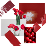 3-Pc. The Reds Set - Siia Cosmetics