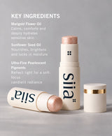 Illuminating Multi Stick - S302 DAY GLOW