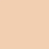 Luminous Longwear Liquid Foundation W 101 VANILLA - Siia Cosmetics