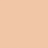 Seamless Fit Foundation Duo SC 02 HONEY BEIGE - Siia Cosmetics