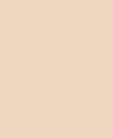 SKIN SERUM FOUNDATION - 2W LIGHT SAND