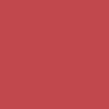 Change Agent Liquid Lipstick L 454 BURNT CORAL - Siia Cosmetics
