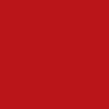 Change Agent Magnetic Original Lipstick O 121 PARTY RED - Siia Cosmetics
