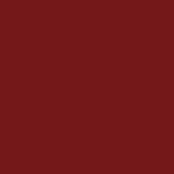 Change Agent Magnetic Original Lipstick O 185 ROASTED RED - Siia Cosmetics