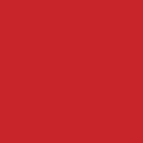 Change Agent Magnetic Original Lipstick O 455 TWILIGHT CORAL - Siia Cosmetics