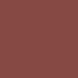 Change Agent Magnetic Original Lipstick O 676 SILENT BROWN - Siia Cosmetics
