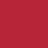 Change Agent Matte Lipstick M 145 FLAMING RED - Siia Cosmetics