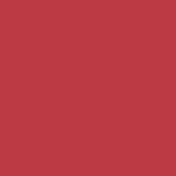 Change Agent Matte Lipstick M 447 DARK CORAL - Siia Cosmetics