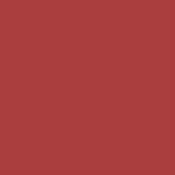 Change Agent Matte Lipstick M 452 WISHING CORAL - Siia Cosmetics
