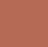 Change Agent Liquid Lipstick L 469 SUNSET CORAL - Siia Cosmetics