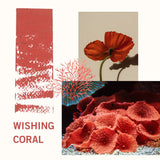 2-Pc. Matte Lip Twin Set M452 Wishing Coral - Siia Cosmetics