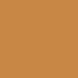 Luminous Longwear Liquid Foundation W 103 CARAMEL - Siia Cosmetics