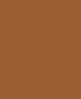 Precision Frame Auto Eyebrow Pencil - 01 LIGHT BROWN