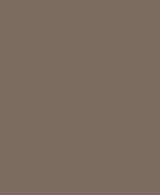 Precision Frame Auto Eyebrow Pencil - 03 GRAY BROWN