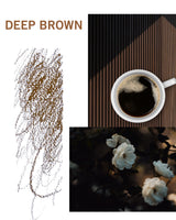 Easy and Rich Brow Pencil B 02 DEEP BROWN - Siia Cosmetics