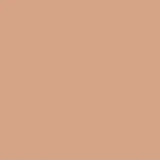 Ultimate Fit Concealer C 303 PEANUT