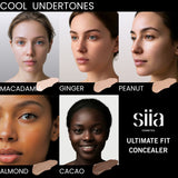 Ultimate Fit Concealer W 301 CASHEW