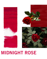 Change Agent Liquid Lipstick L 583 MIDNIGHT ROSE - Siia Cosmetics