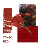 Change Agent Matte Lipstick M 175 TANGO RED