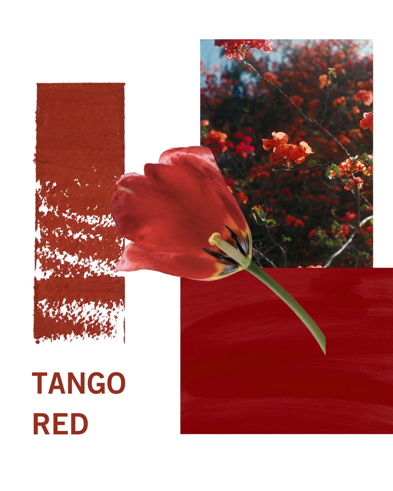 Change Agent Matte Lipstick M 175 TANGO RED