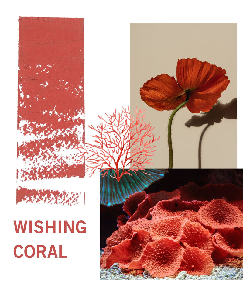 Change Agent Matte Lipstick M 452 WISHING CORAL - Siia Cosmetics