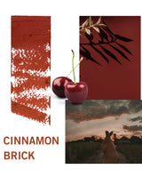 Change Agent Matte Lipstick M 610 CINNAMON BRICK - Siia Cosmetics