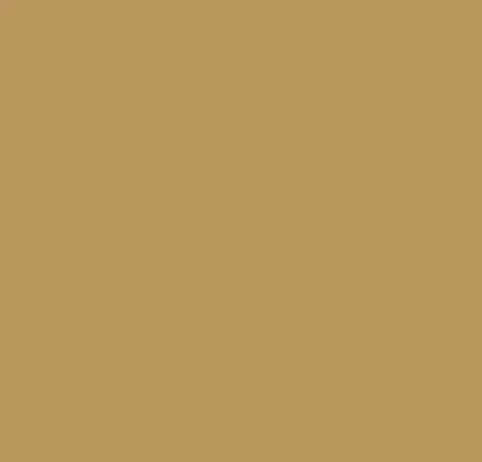 Easy and Rich Brow Pencil B 01 NATURAL BROWN