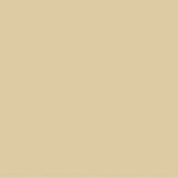 Shadow Stick S02 PARIS (Champagne Glitter)