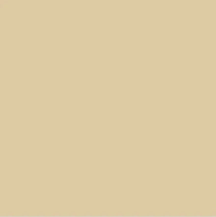 Shadow Stick S02 PARIS (Champagne Glitter)