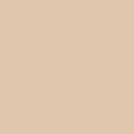 Seamless Fit Foundation Duo SW 01 IVORY