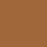 Luminous Longwear Liquid Foundation C 105 MACCHIATO - Siia Cosmetics