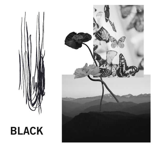 Emphasizer Liquid Eyeliner EL 01 BLACK - Siia Cosmetics