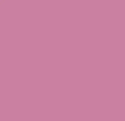 Change Agent Magnetic Original Lipstick O 309 MAUVE PINK - Siia Cosmetics