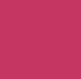 Change Agent Magnetic Original Lipstick O 542 EVERLASTING ROSE