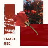 2-Pc. Matte Lip Twin Set M175 Tango Red - Siia Cosmetics