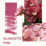 2-Pc. Matte Lip Twin Set M332 Silhouette Pink - Siia Cosmetics