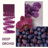 2-Pc. Matte Lip Twin Set M361 Deep Orchid - Siia Cosmetics