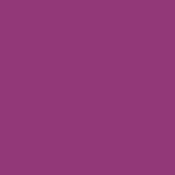 2-Pc. Matte Lip Twin Set M361 Deep Orchid - Siia Cosmetics